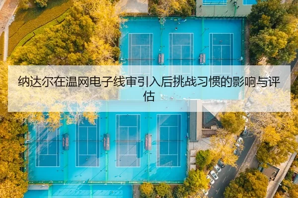 na-da-er-zai-wen-wang-dian-zi-xian-shen-yin-ru-hou-tiao-zhan-xi-guan-de-ying-xiang-yu-ping-gu-2-892.jpg